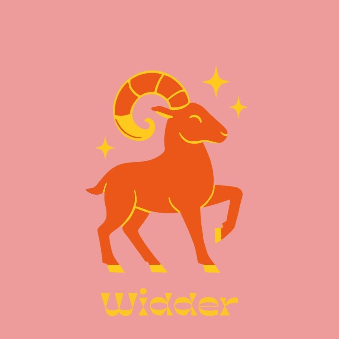 Widder