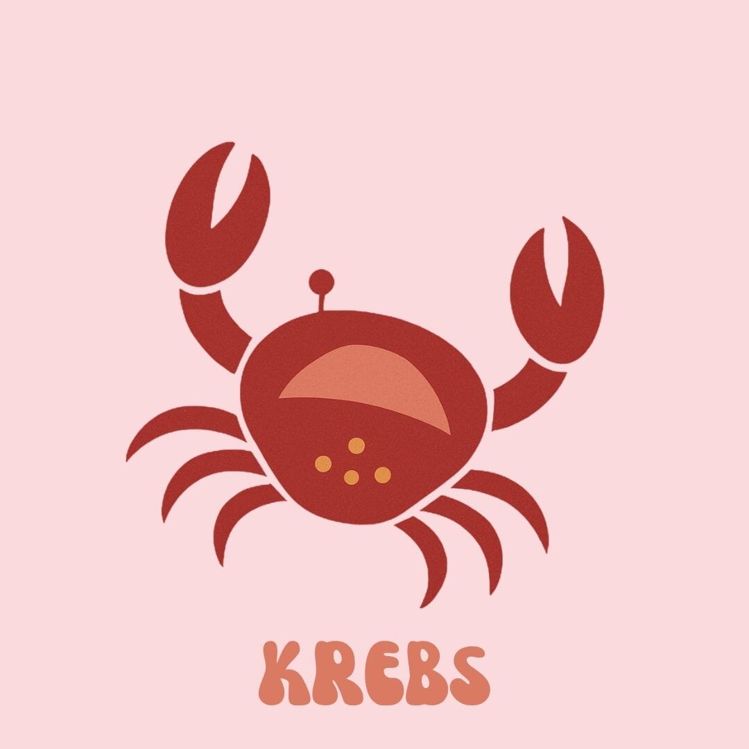 Krebs