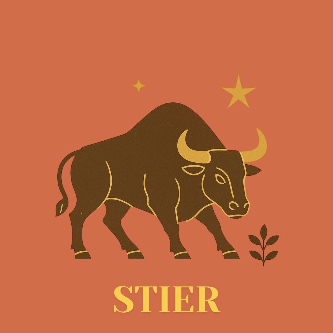 Stier